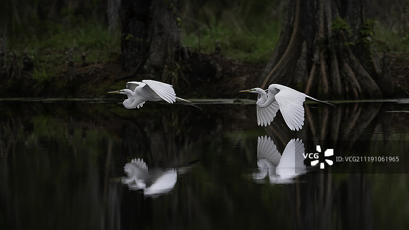 飞行继续图片素材