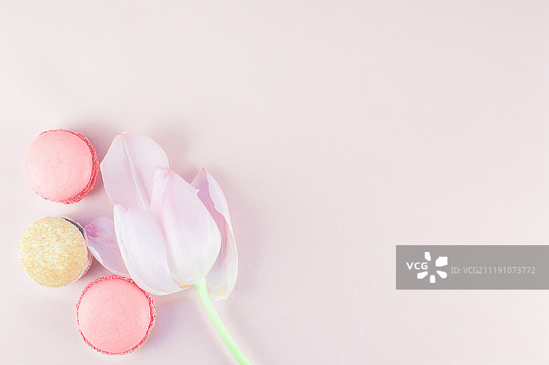 扁平风格马卡龙和粉色郁金香花瓣图片素材