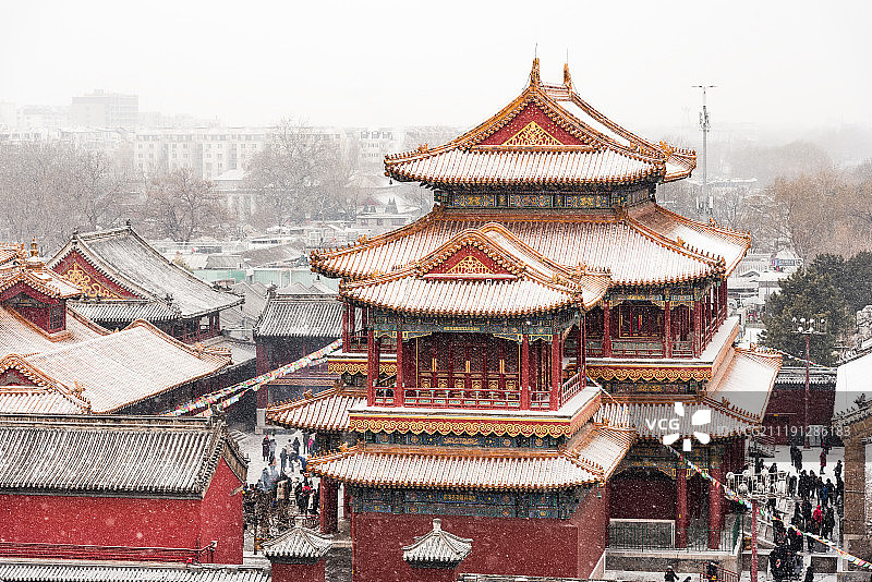雍和宫  雪图片素材