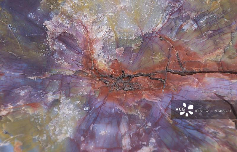 已被石英完全取代的石化木，美国亚利桑那州图片素材