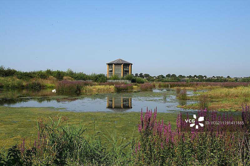 从湿地栖息地的高处眺望伦敦湿地中心湿地保护区的孔雀塔图片素材