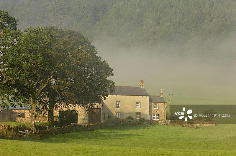 博兰森林的雾中农舍和树木，位于英国兰开夏郡惠特韦尔图片素材