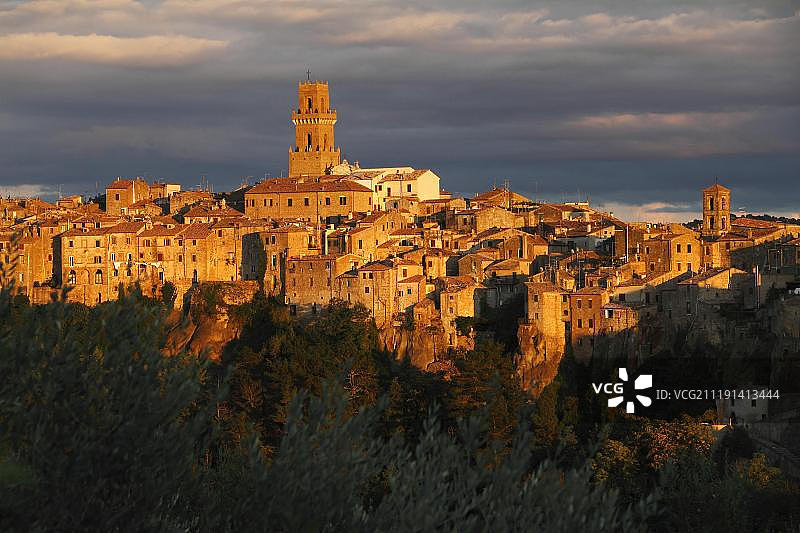 托斯卡纳皮蒂利亚诺中世纪小镇的橄榄树景观图片素材