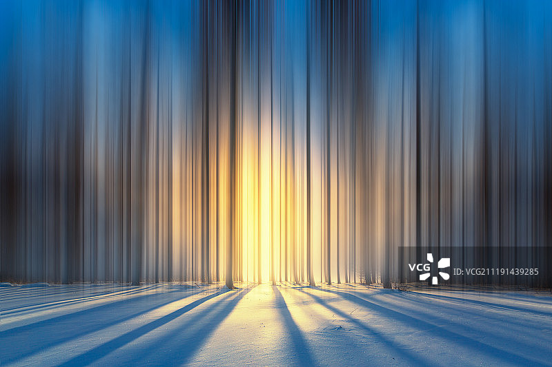 森林光束图片素材