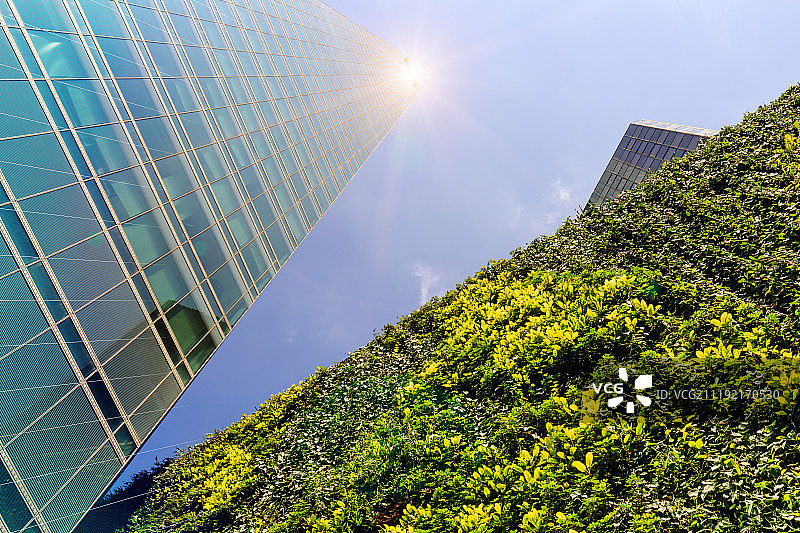 都市垂直绿化图片素材