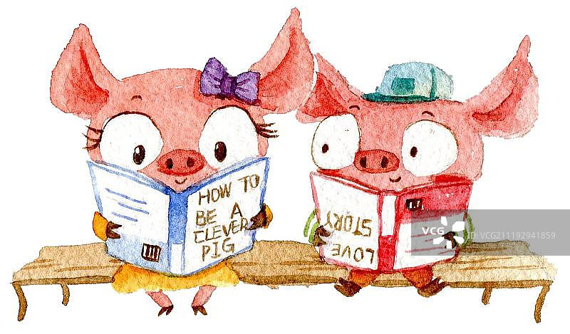 看书的两只小猪图片素材