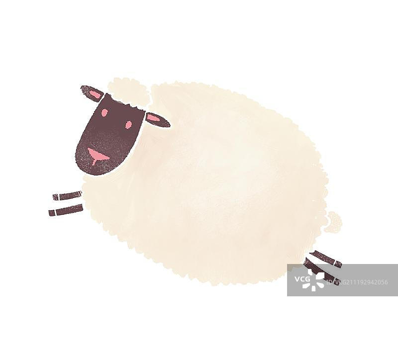 奔跑的黑脸绵阳图片素材