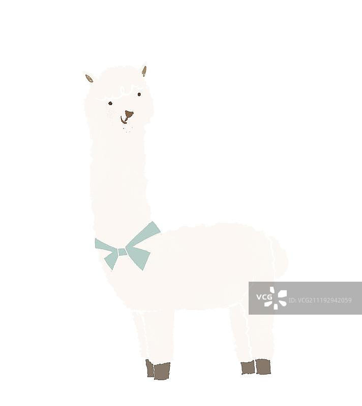 系着围巾的白色羊驼图片素材