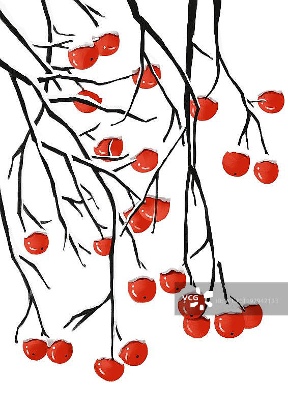 红色果子图片素材