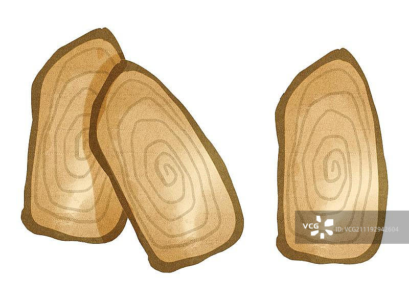 写实药材当归参片图片素材