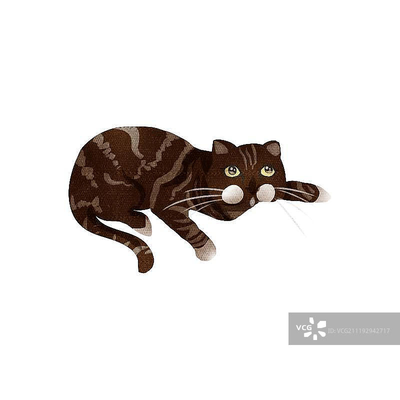 小清新可爱花猫图片素材