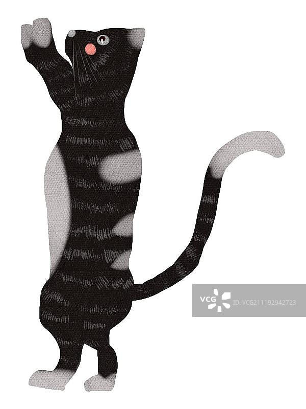 小清新可爱花猫图片素材