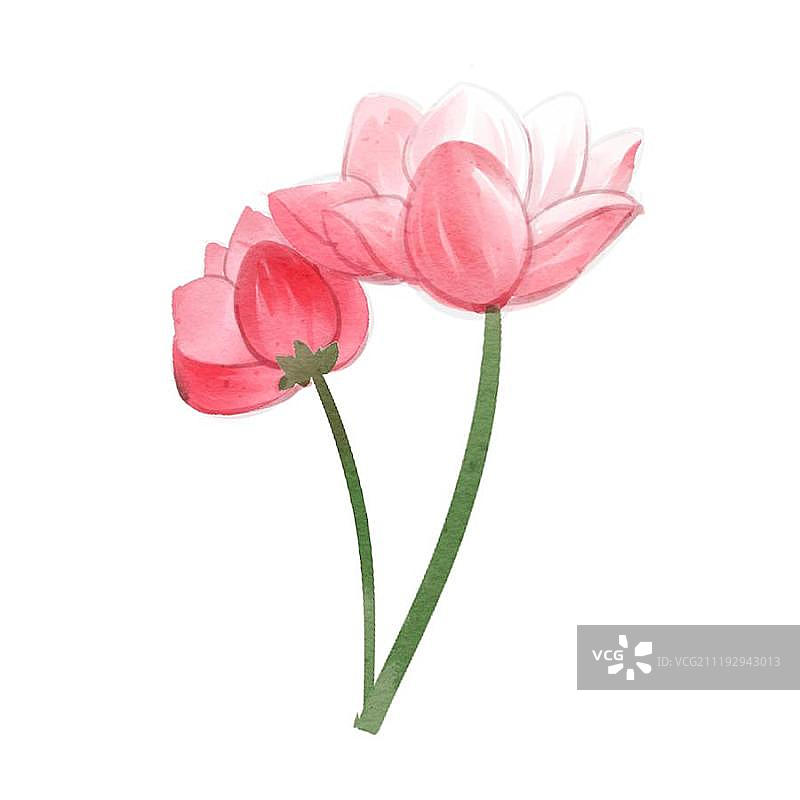 中国风水彩风格梅花图片素材