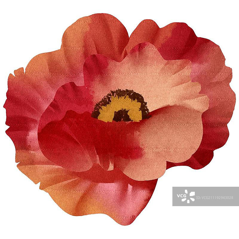 中国风水彩风格罂粟花图片素材