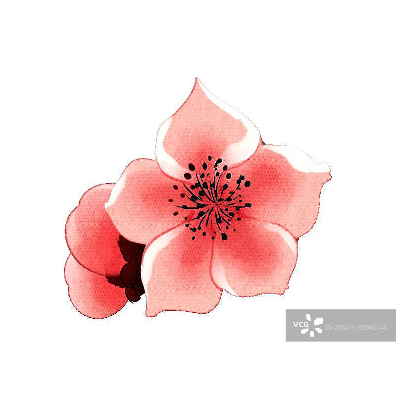 小清新中国风水彩风格梅花图片素材