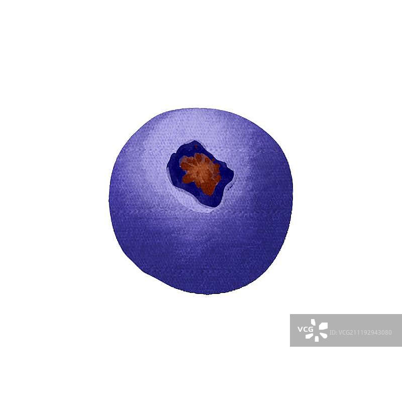 小清新水彩风格蓝莓图片素材