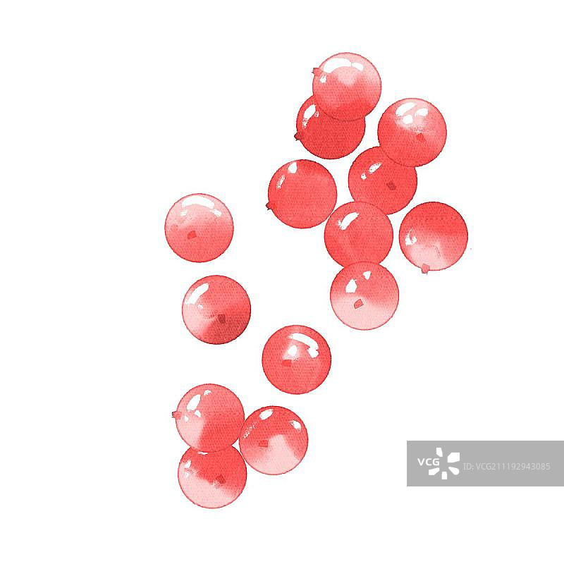 小清新水彩风格红浆果图片素材