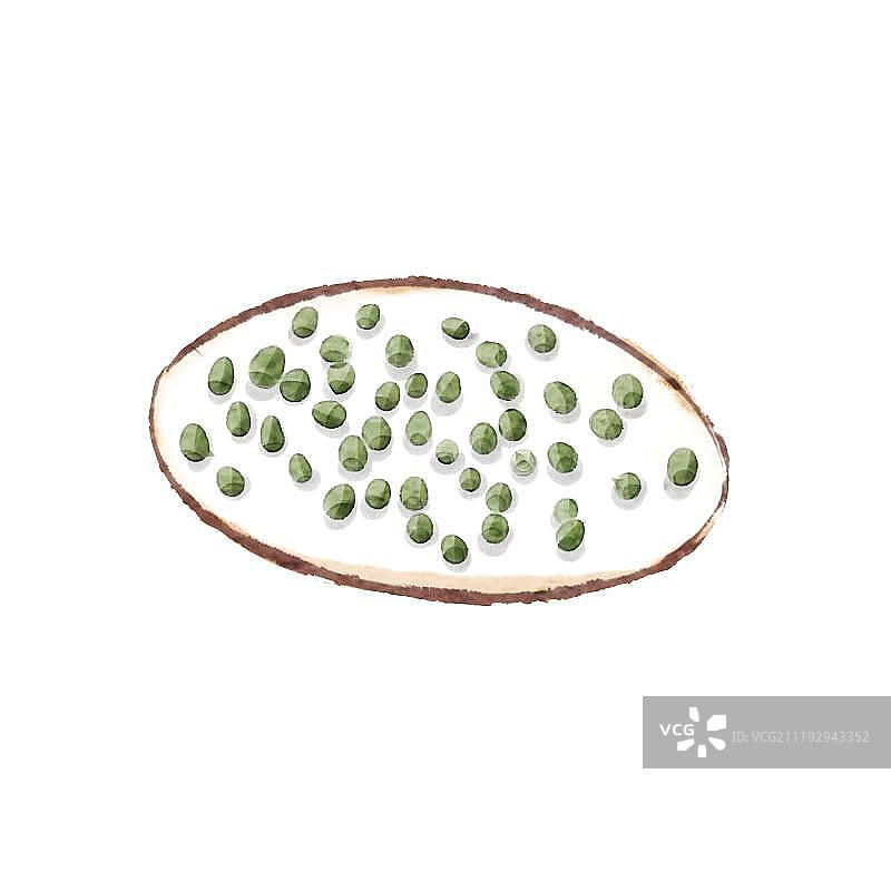 中国水墨风格一盘豆子图片素材