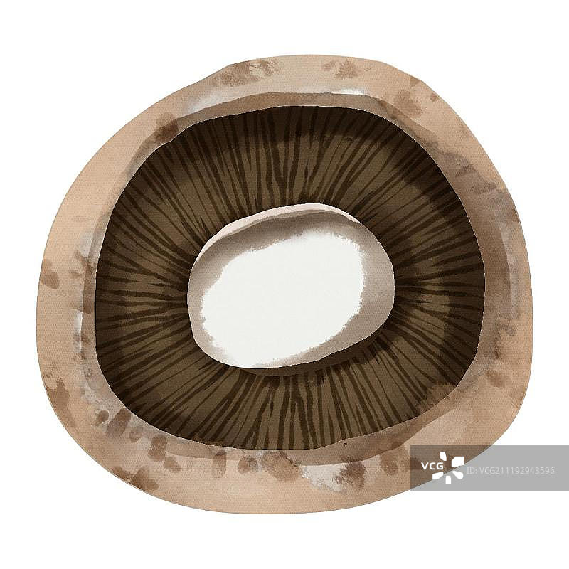 小清新水彩风格白蘑菇图片素材