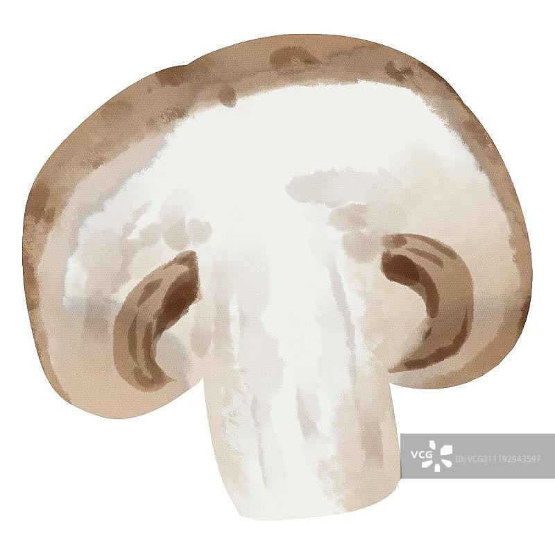 小清新水彩风格白蘑菇图片素材