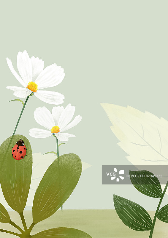 花和虫背景图片素材