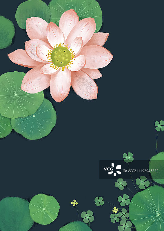 荷花荷叶背景图片素材