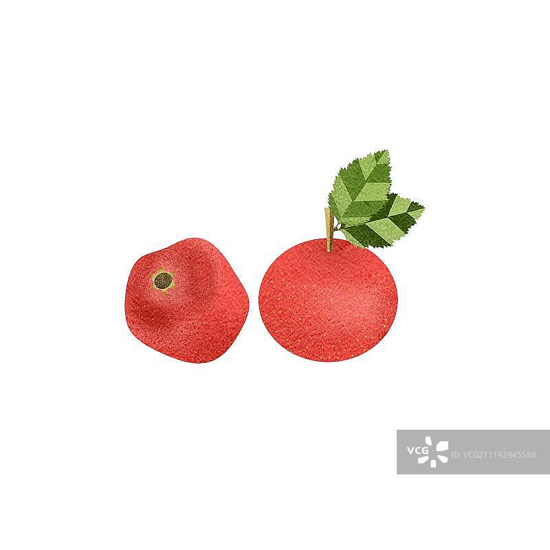 新鲜的红色山楂图片素材