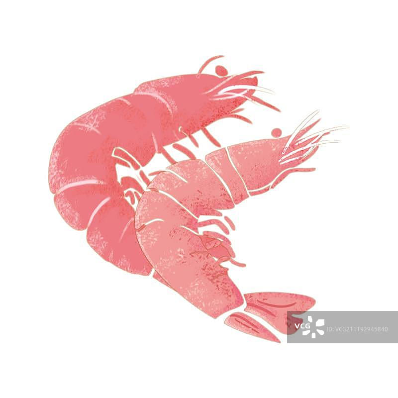 可爱的大龙虾图片素材