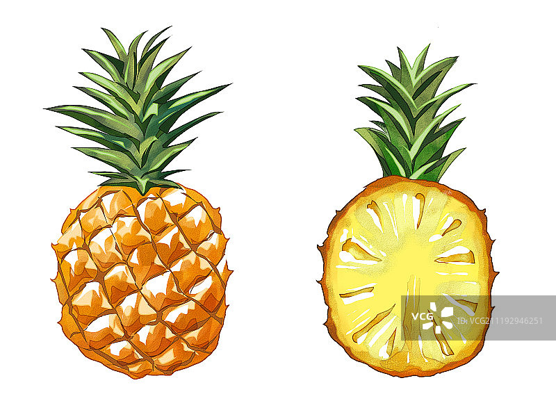 水果菠萝图片素材