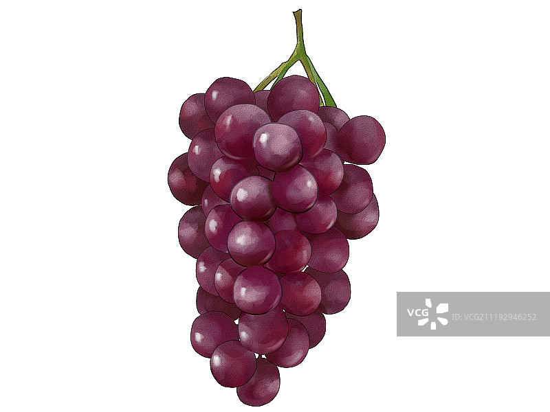 水果葡萄图片素材