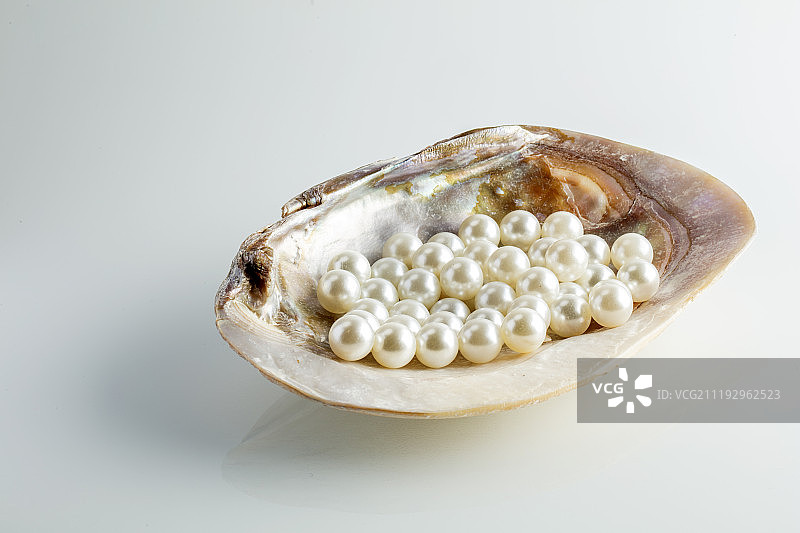 贝壳中的珍珠图片素材
