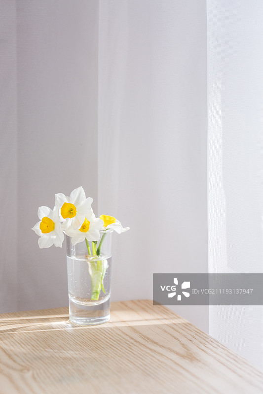 水仙花图片素材