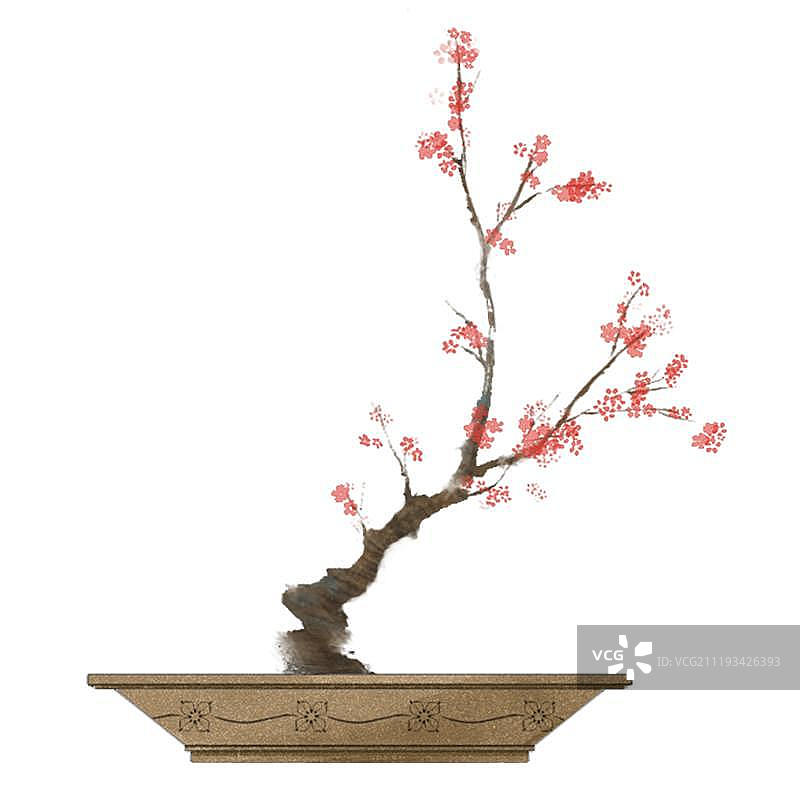 装饰性的梅花盆栽图片素材