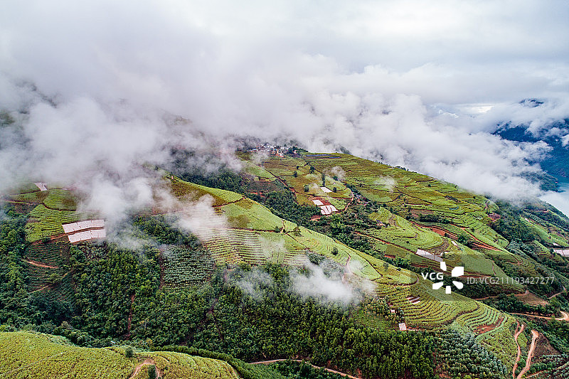 航拍云南山间梯田田地图片素材