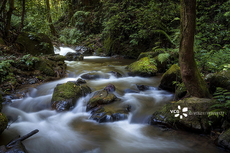 瑞丽林间风光图片素材
