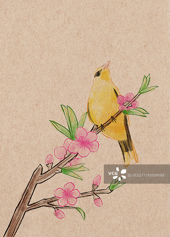 水墨质感一只黄鹂停留在桃花花枝上图片素材