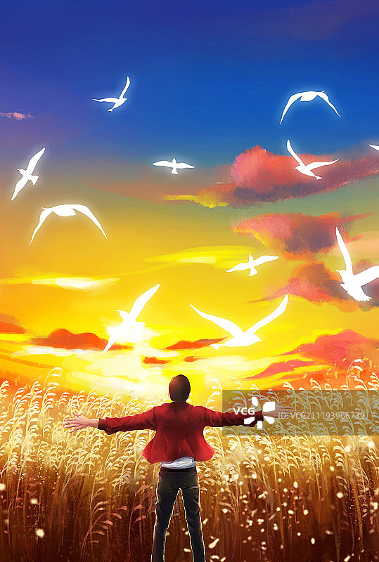 黄昏金色草地火烧云飞鸟风景竖版图片素材