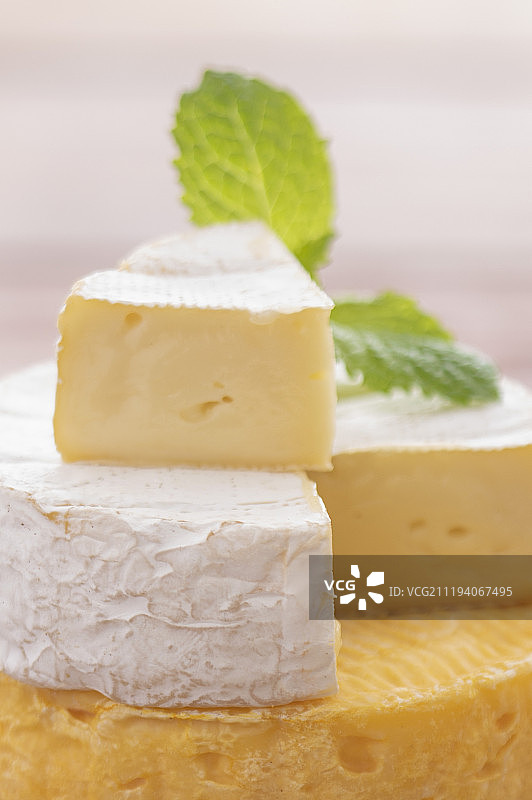 奶酪干酪图片素材