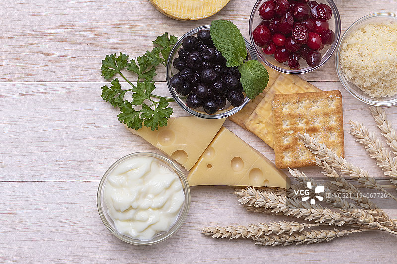 奶酪干酪优格图片素材