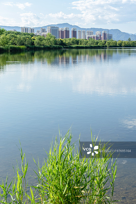 北京莲石湖湿地公园图片素材