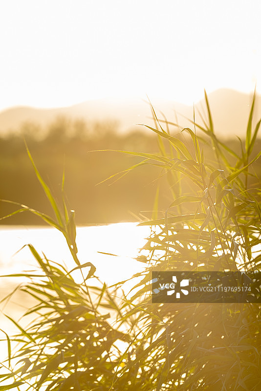 北京莲石湖湿地公园图片素材