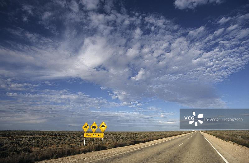 道路标志，当心野生骆驼、袋熊和袋鼠，澳大利亚图片素材