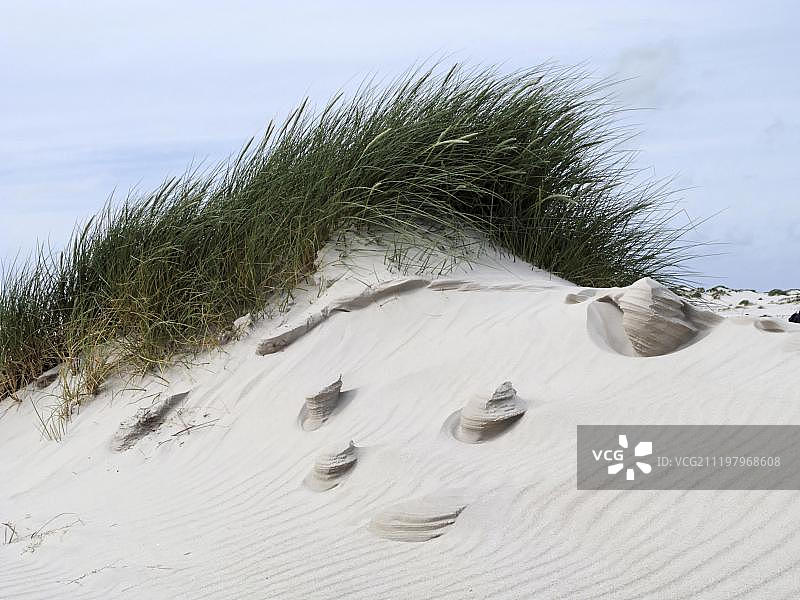 德国阿姆鲁姆岛沙丘中风形成的沙雕图片素材