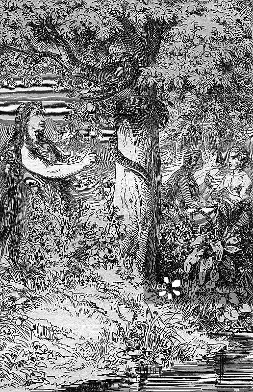 1860年历史钢版雕刻：瀑布图片素材