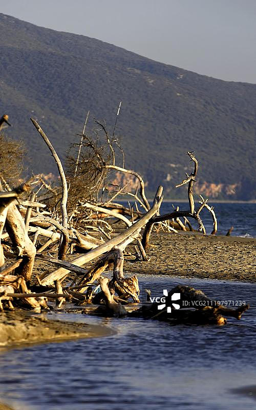 意大利托斯卡纳马雷玛国家公园海岸线风光图片素材