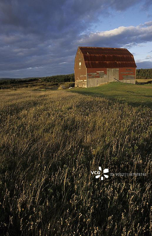 加拿大新不伦瑞克省芬迪海岸的谷仓图片素材