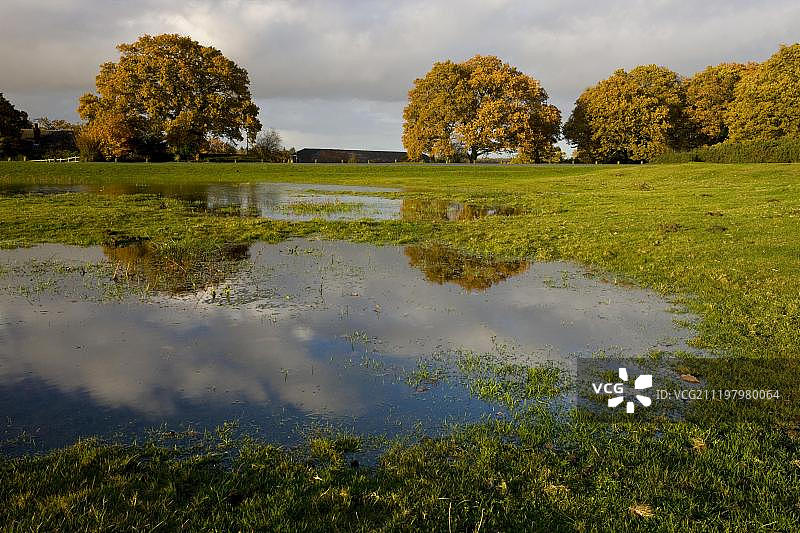 临时池塘，仙女虾和蝌蚪虾的濒危栖息地，戈德希尔，新森林，汉普郡，英国，欧洲图片素材