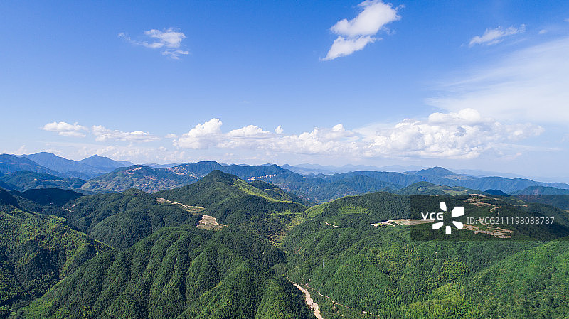 丽水森林青山绿色图片素材
