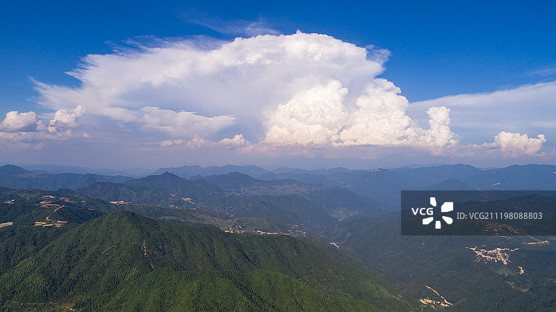 丽水森林青山绿色梯田图片素材