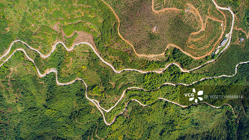 丽水森林青山绿色梯田图片素材